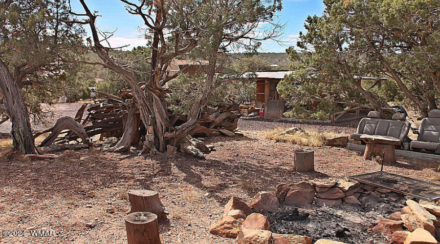 Back Yard Fire Pit