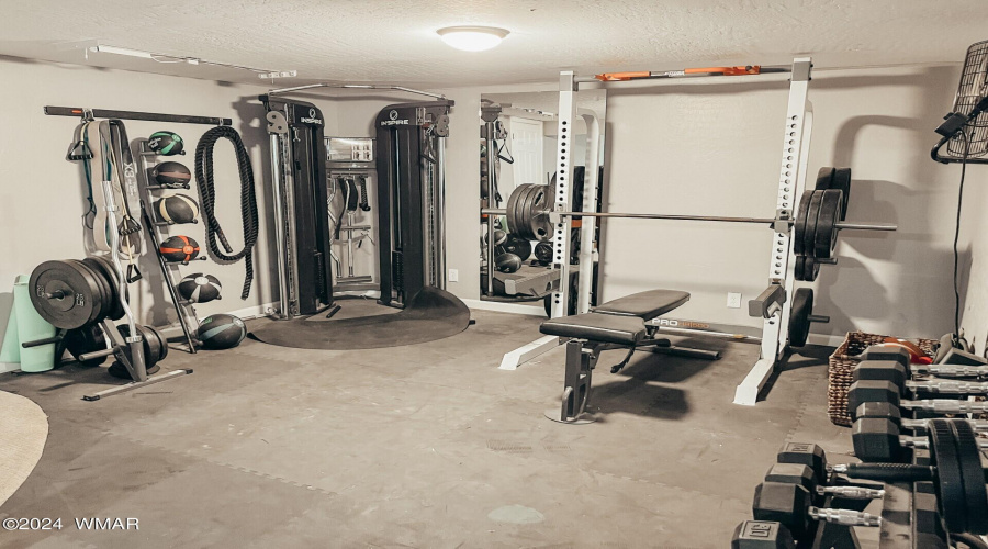 Basement Gym