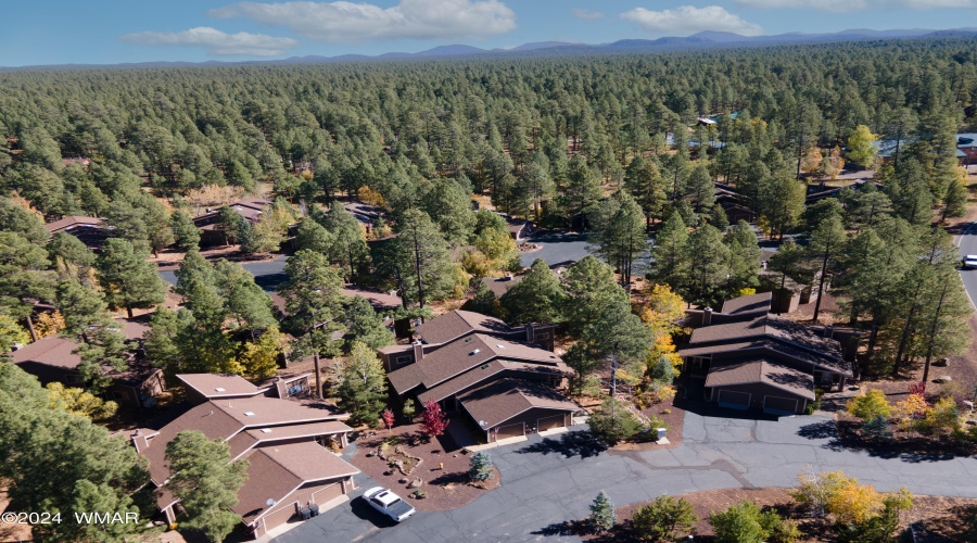 5776 Spruce Circle, Pinetop AZ 85935