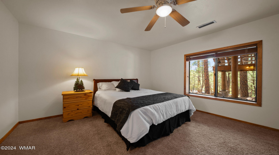 Guest Bedroom Downstairs