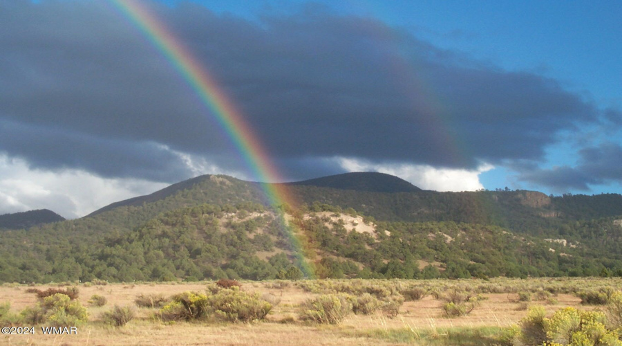 Double Rainbow