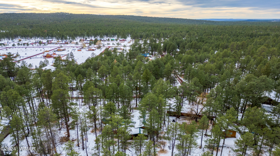 715EAlpineLn-Pinetop-AZ-39