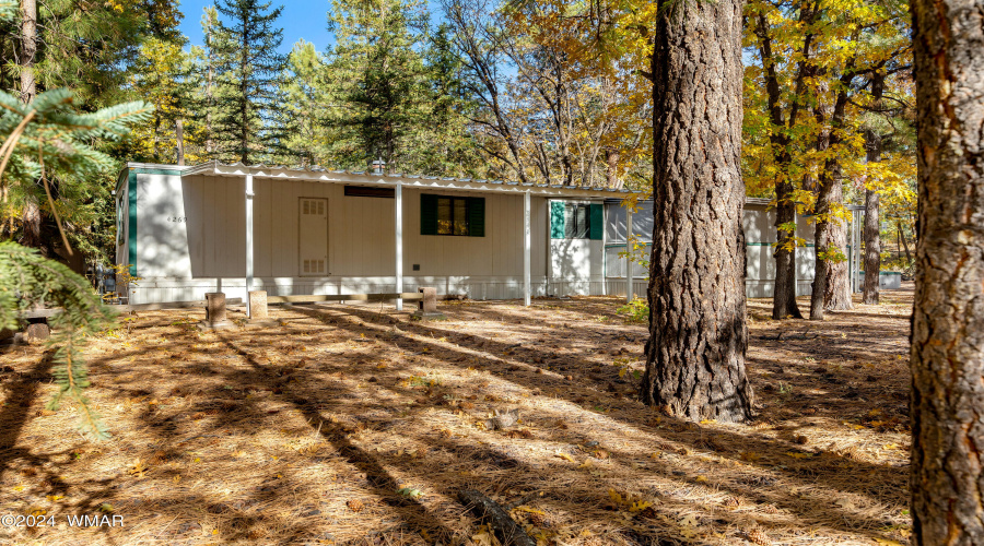 4269MarkTwainDr-Pinetop-AZ-3