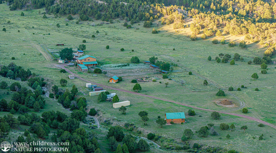 Cabin & Adjoining Property