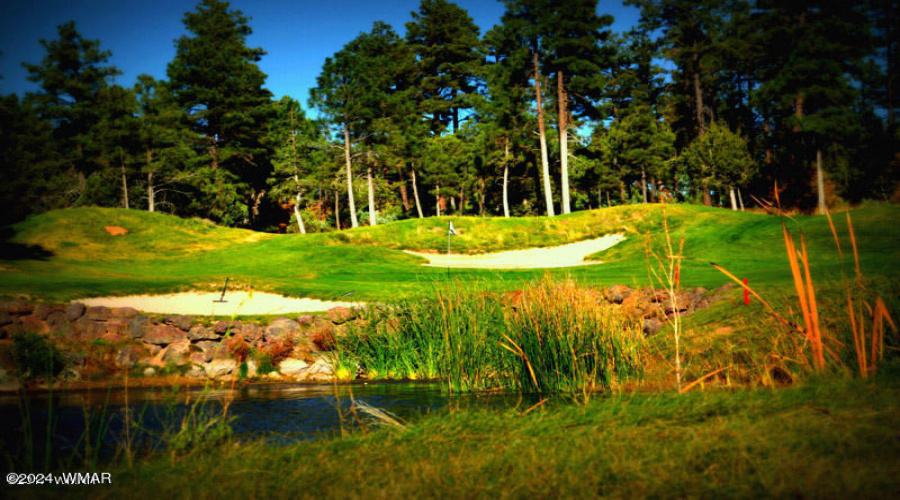 Golf Course at the Prestigious Torreon G