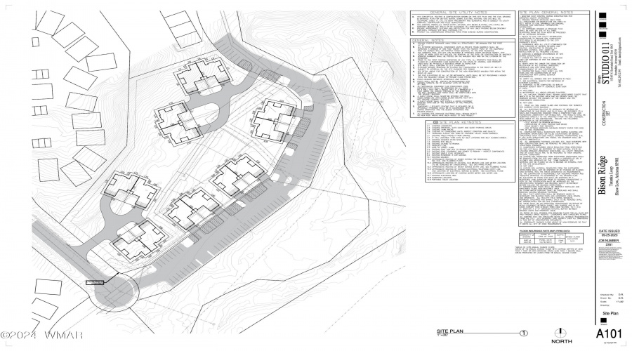 A-101 SITE PLAN (1)