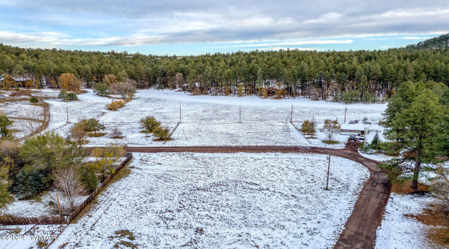 2445SJanLN-Pinetop-AZ-10