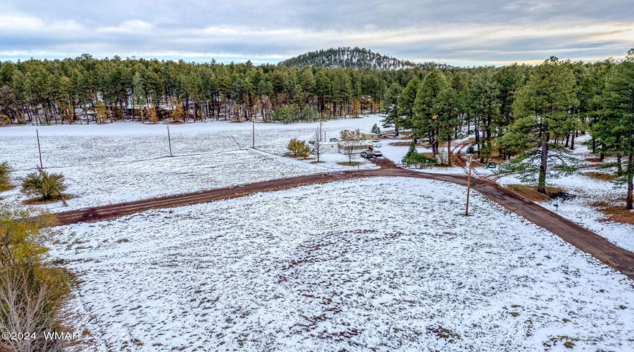 2445SJanLN-Pinetop-AZ-11