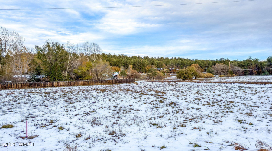 2445SJanLN-Pinetop-AZ-13