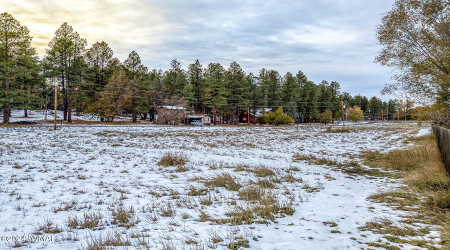 2445SJanLN-Pinetop-AZ-15