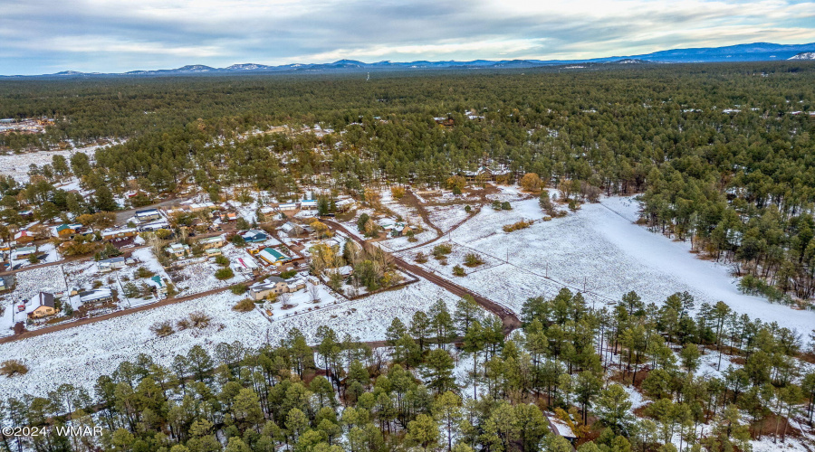 2445SJanLN-Pinetop-AZ-4