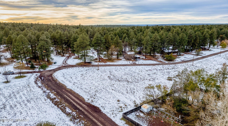 2445SJanLN-Pinetop-AZ-8