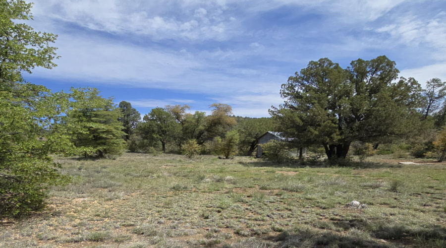 Possible Bldg Site