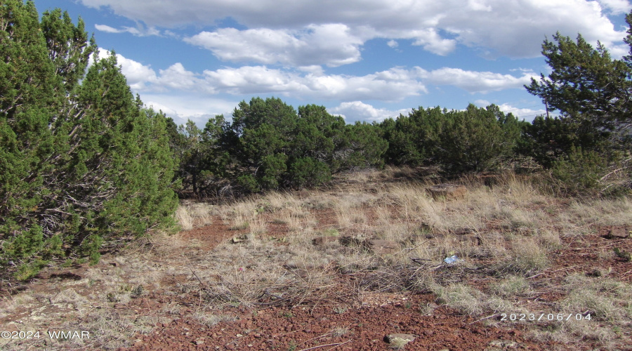 Vacant land for sale White Mountain Lake