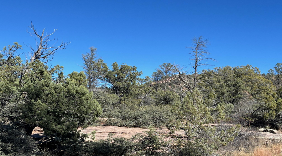 National forest on two sides