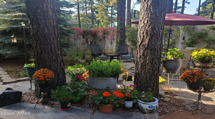 McAdam courtyard flowers