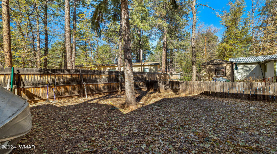 4286EBlueRidgeLoop-Pinetop-AZ-26