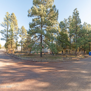 Street view of Home