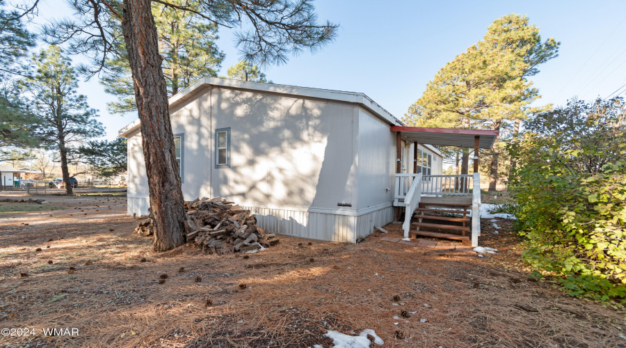 Back Deck and right side