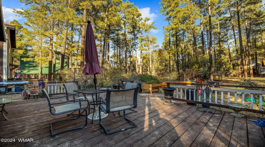 Back deck