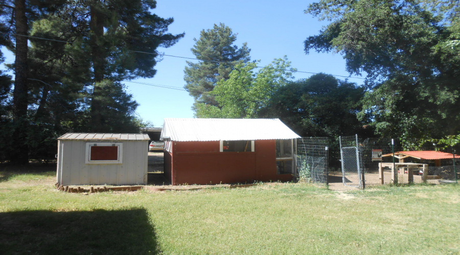 Storage shed