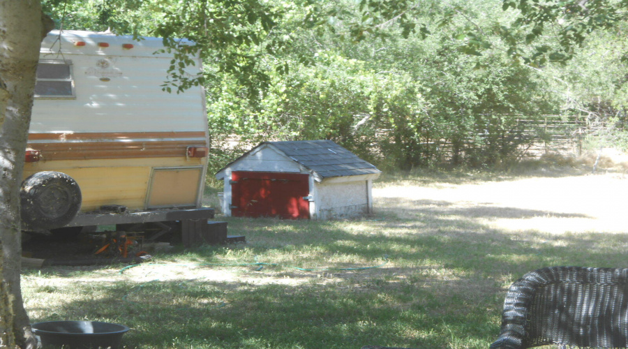 Well shed