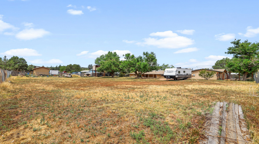 Back Yard NE Corner