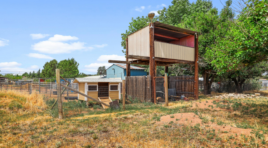 Chicken Coop