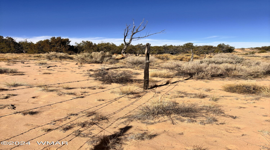 Eastern Fence