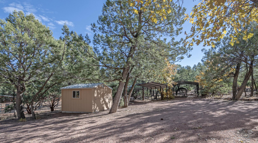 shed ad carports