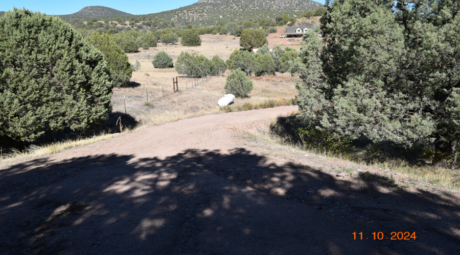 view from patio