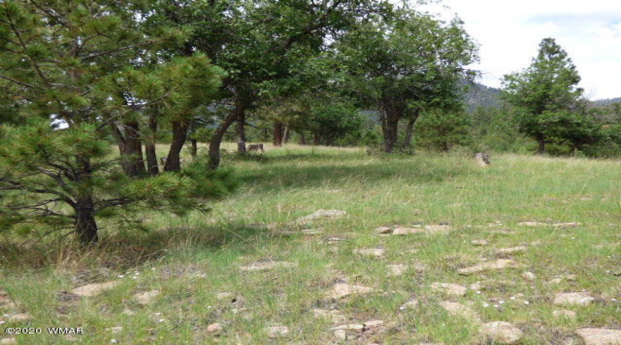 The Ranch at Alpine (14)