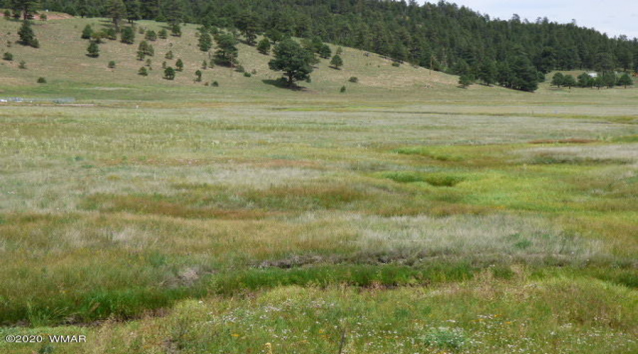 The Ranch at Alpine (10)