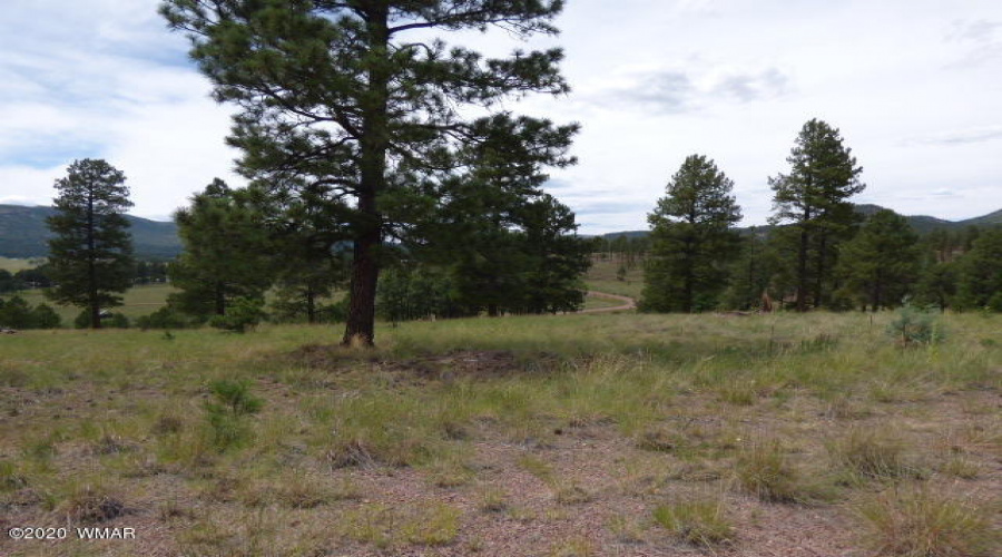 The Ranch at Alpine (15)