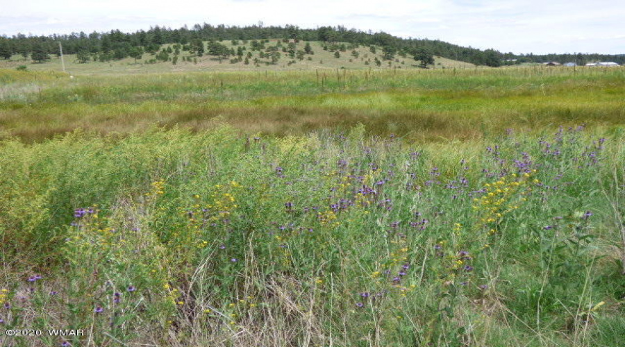 The Ranch at Alpine (23)