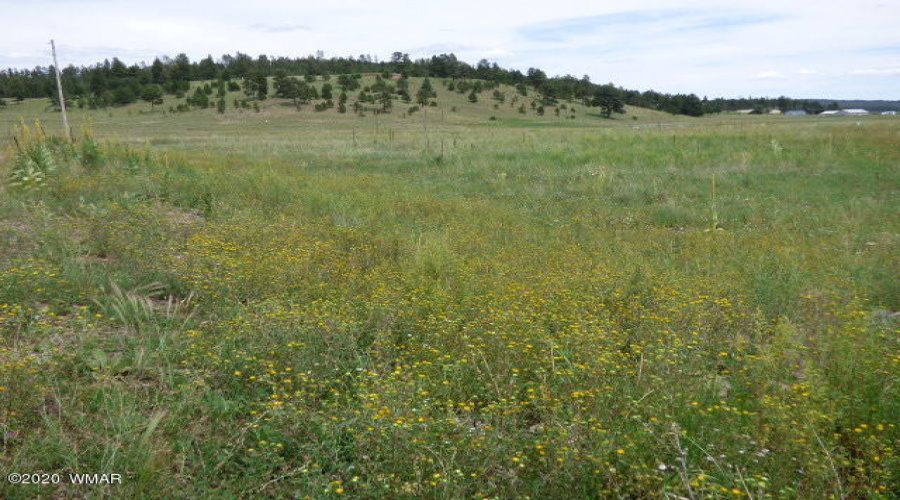 The Ranch at Alpine (2)