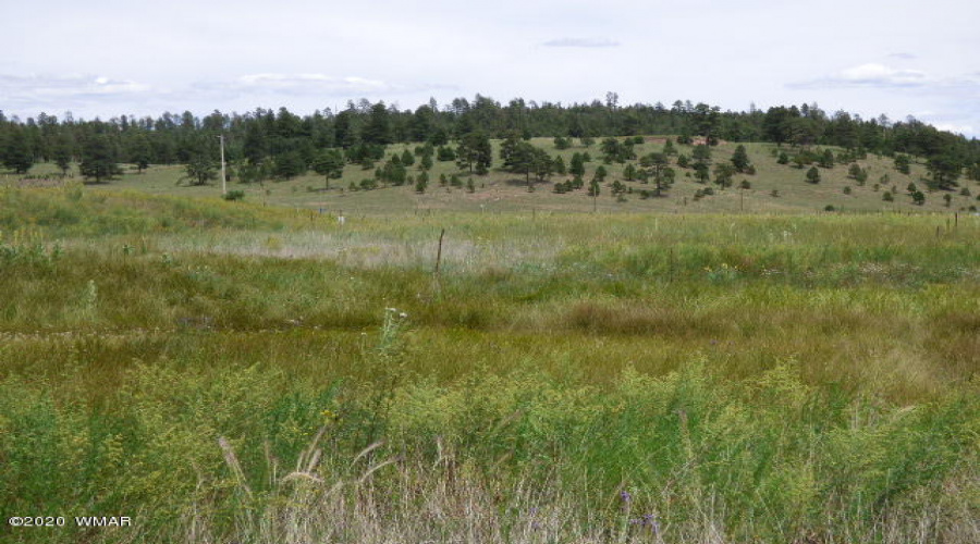 The Ranch at Alpine (18)