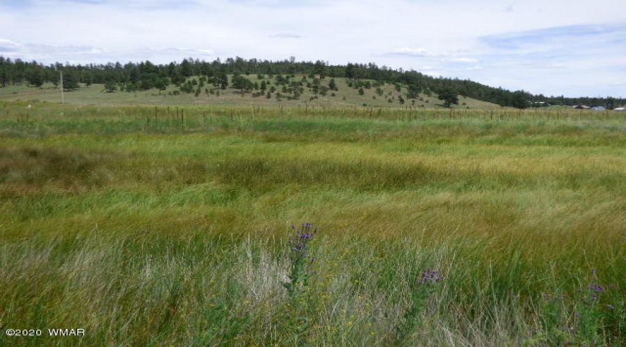 The Ranch at Alpine (6)