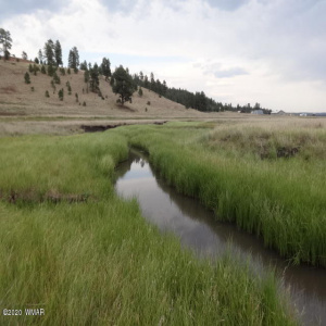 Lot 23 The Ranch at Alpine