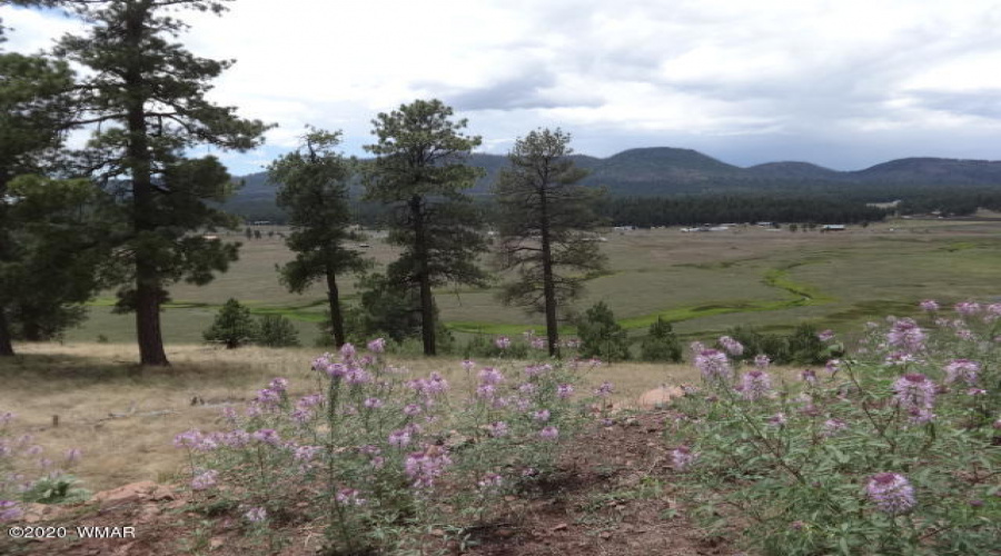 The Ranch at Alpine (17)