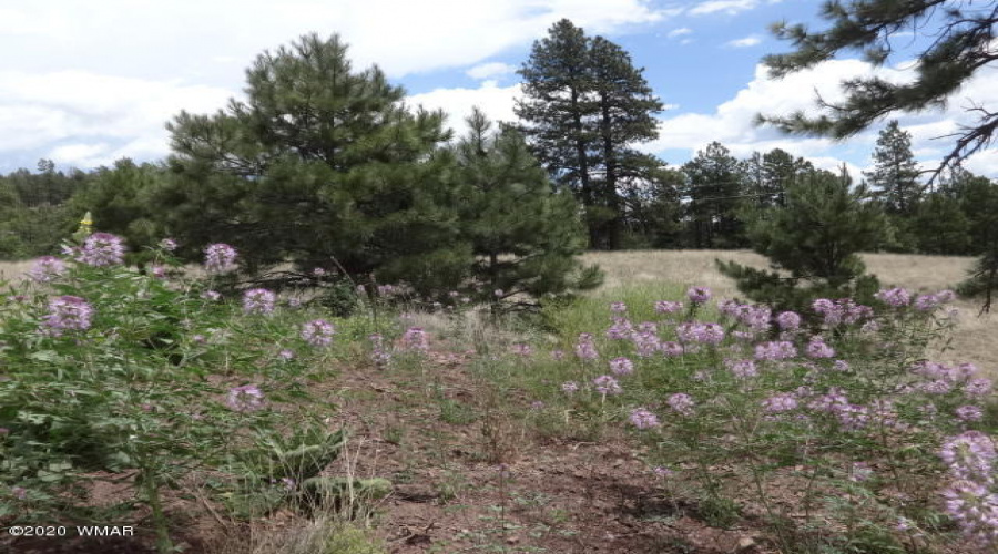 The Ranch at Alpine (22)