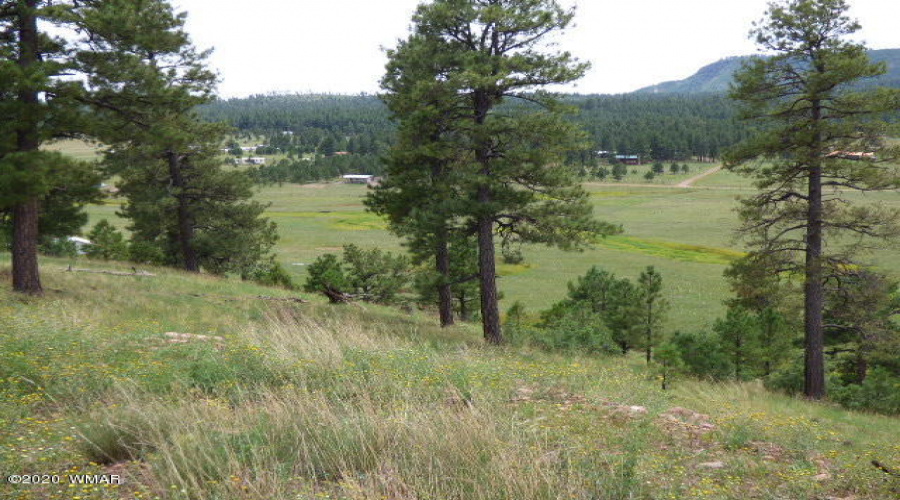 The Ranch at Alpine (13)