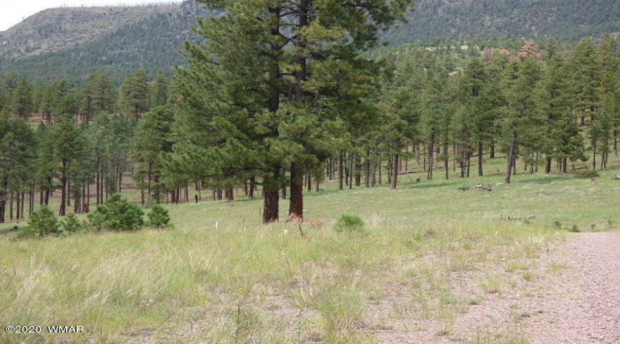 The Ranch at Alpine (9)