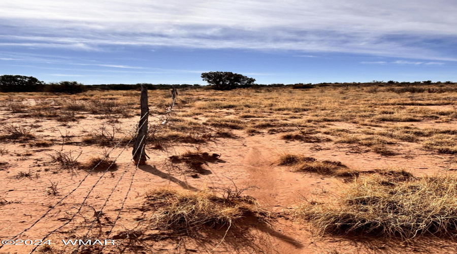 Old Fence