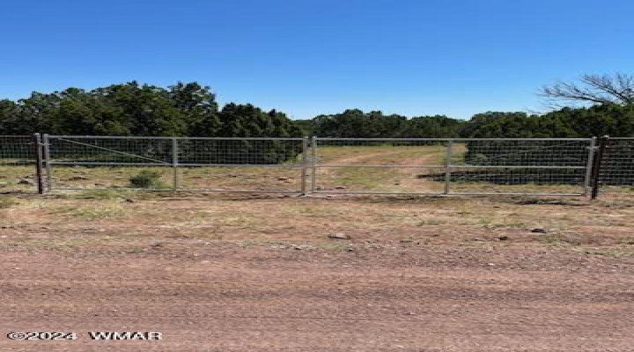 Front Gate