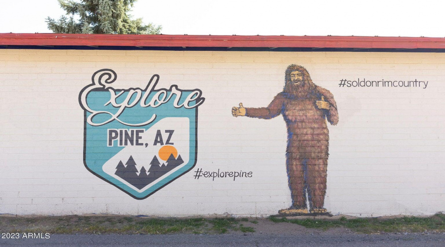 Town of Pine