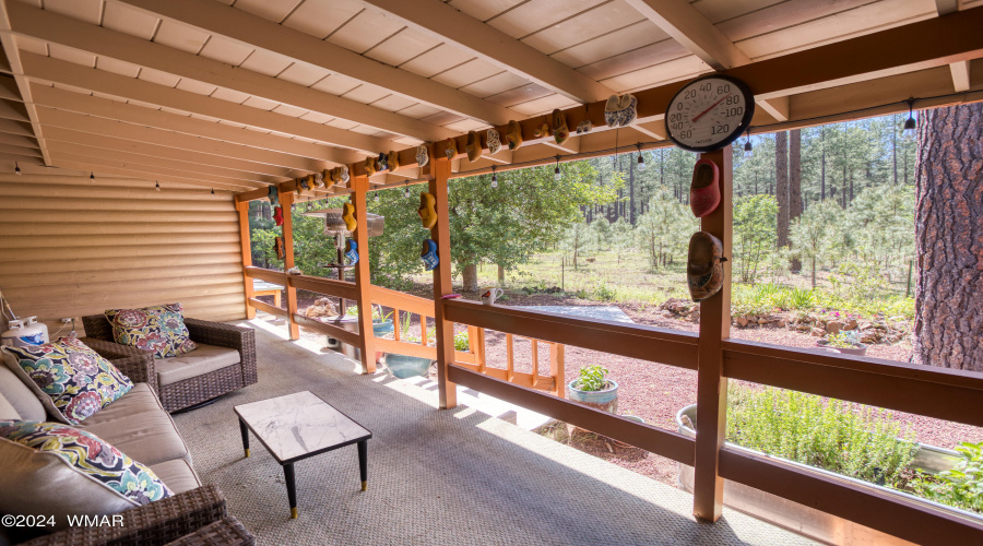 Back deck showing apple trees