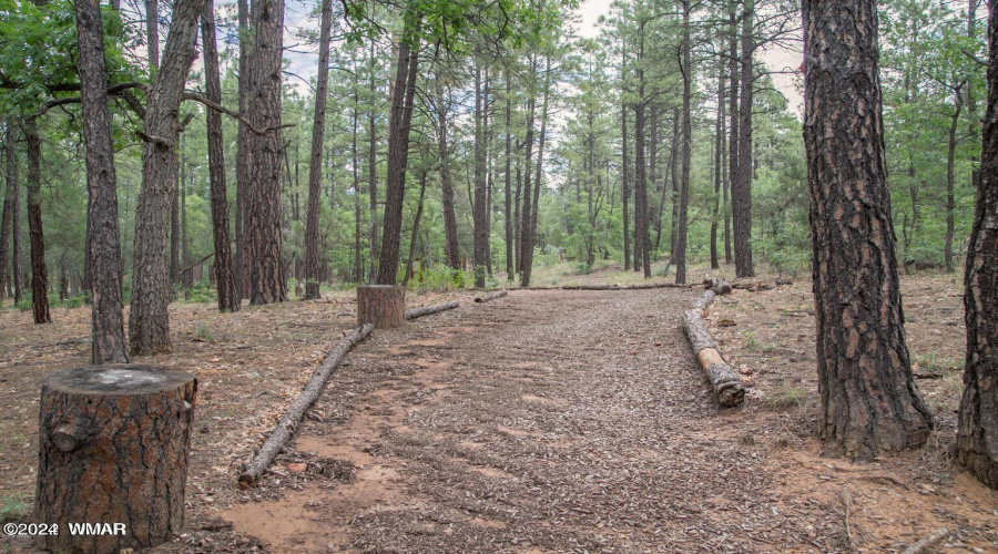 WMVV Walking Trails