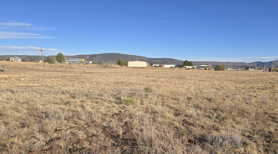 Acre Lot Looking North - NE