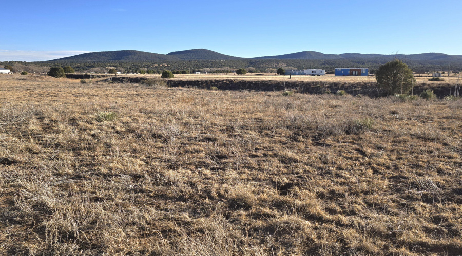 Acre Lot Looking South